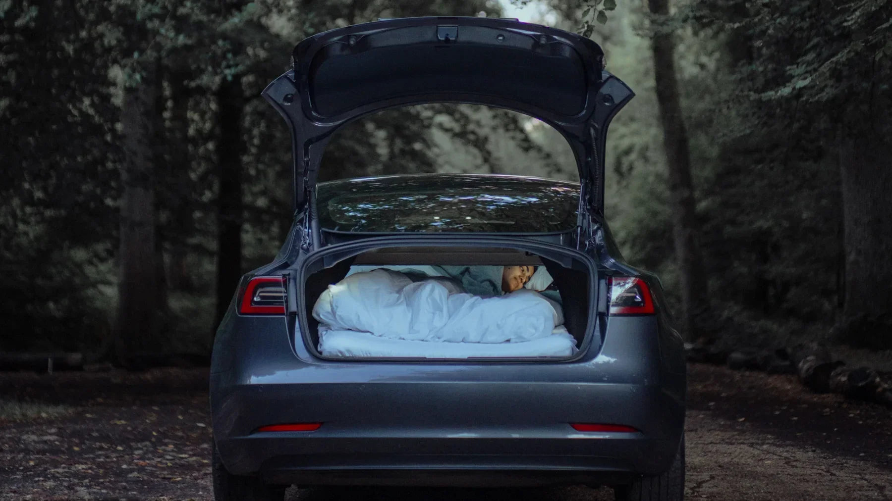 Sleeper resting in bedding inside the open trunk of a grey Tesla Model 3